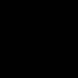 Meet your Posher, Francesca